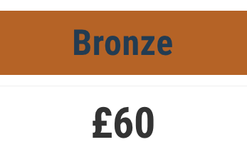 Workshop - £60 Bronze level service - booking fee