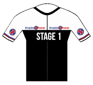 Stage 1 monthly Fee