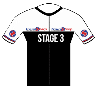 Stage 3 Monthly Fee 
